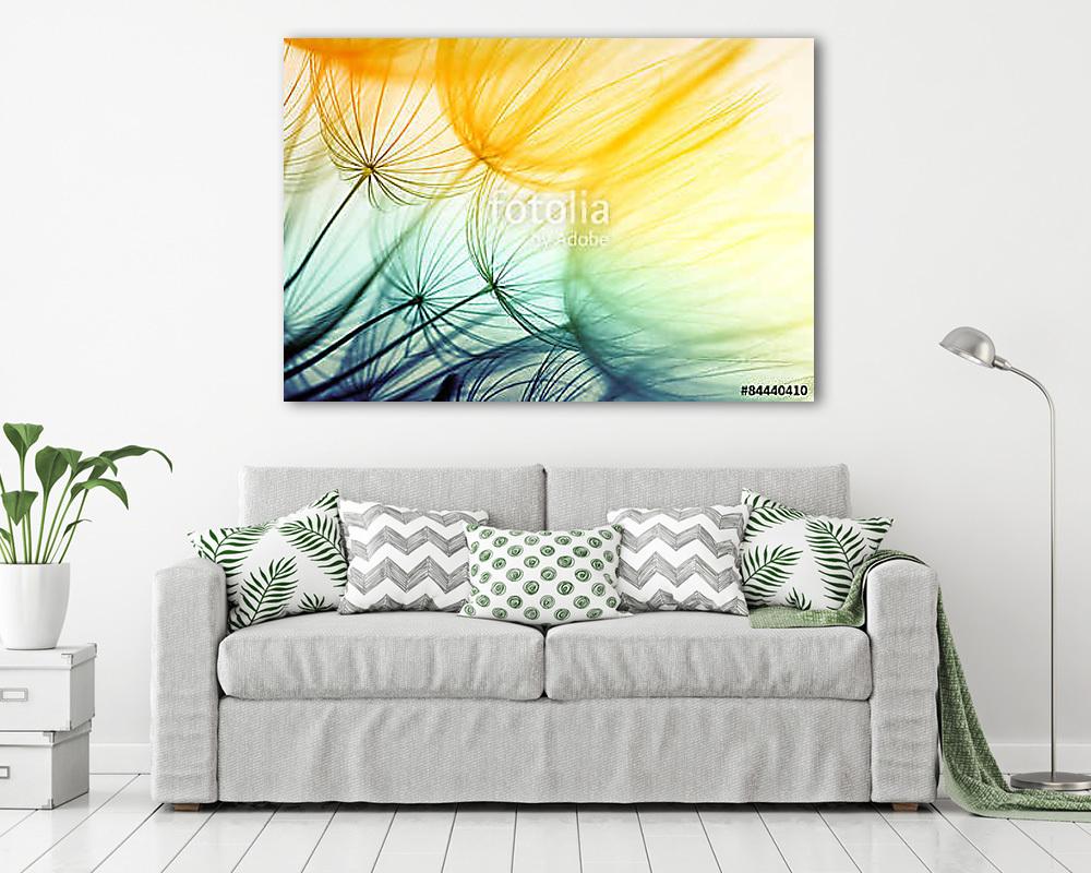 Dandelion - vászonkép, falikép vásárlás Dandelion (poszter) - vászonkép, falikép otthonra és irodába