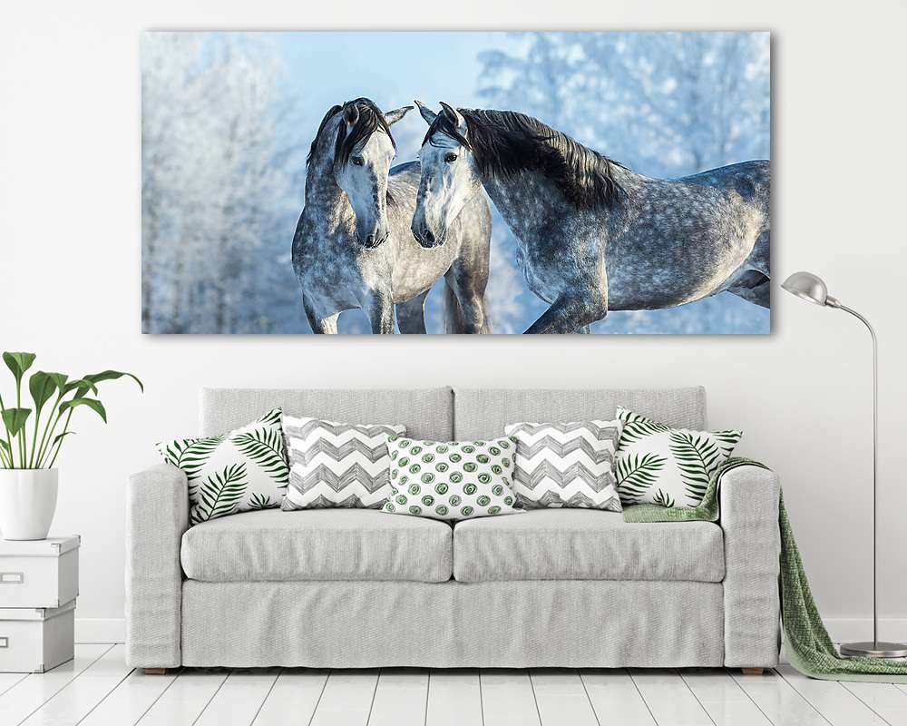 portré két spanyol szürke mén a téli erdőben (vászonkép) - vászonkép, falikép otthonra és irodába