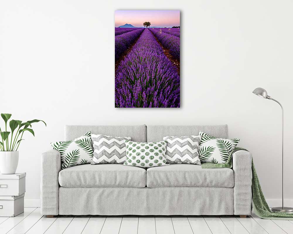 Fa a levendula területen napnyugtakor Provence, Franciaország (többrészes kép) - vászonkép, falikép otthonra és irodába