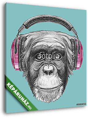 Portrait of Monkey with headphones. Hand drawn illustration. - vászonkép 3D látványterv