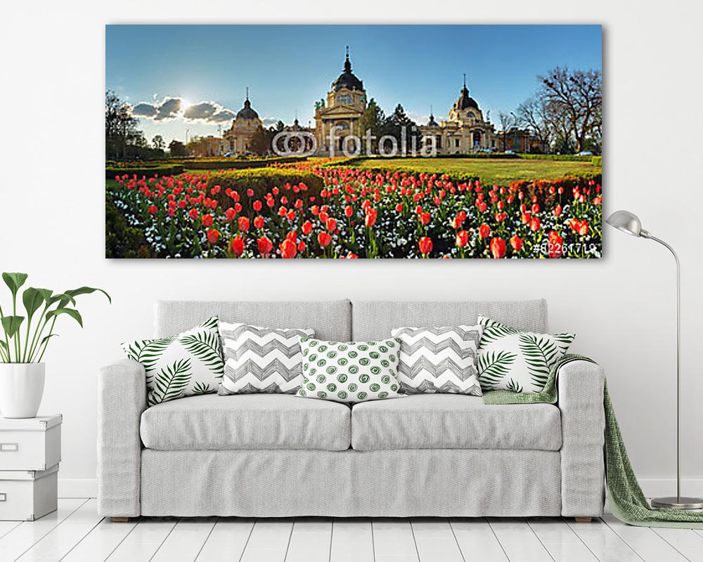 Budapest - tavaszi panoráma virággal, Széchenyi Gyógyfürdő, Magy (fotótapéta) - vászonkép, falikép otthonra és irodába
