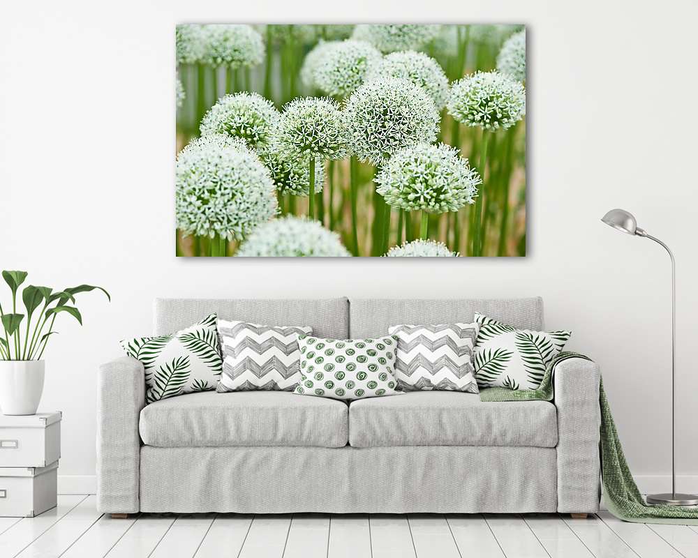 Fehér hagymavirág mező (Mount Everest) - vászonkép, falikép vásárlás Fehér hagymavirág mező (Mount Everest) (vászonkép) - vászonkép, falikép otthonra és irodába