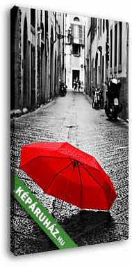 Piros esernyő macskaköves utcán - vászonkép 3D látványterv