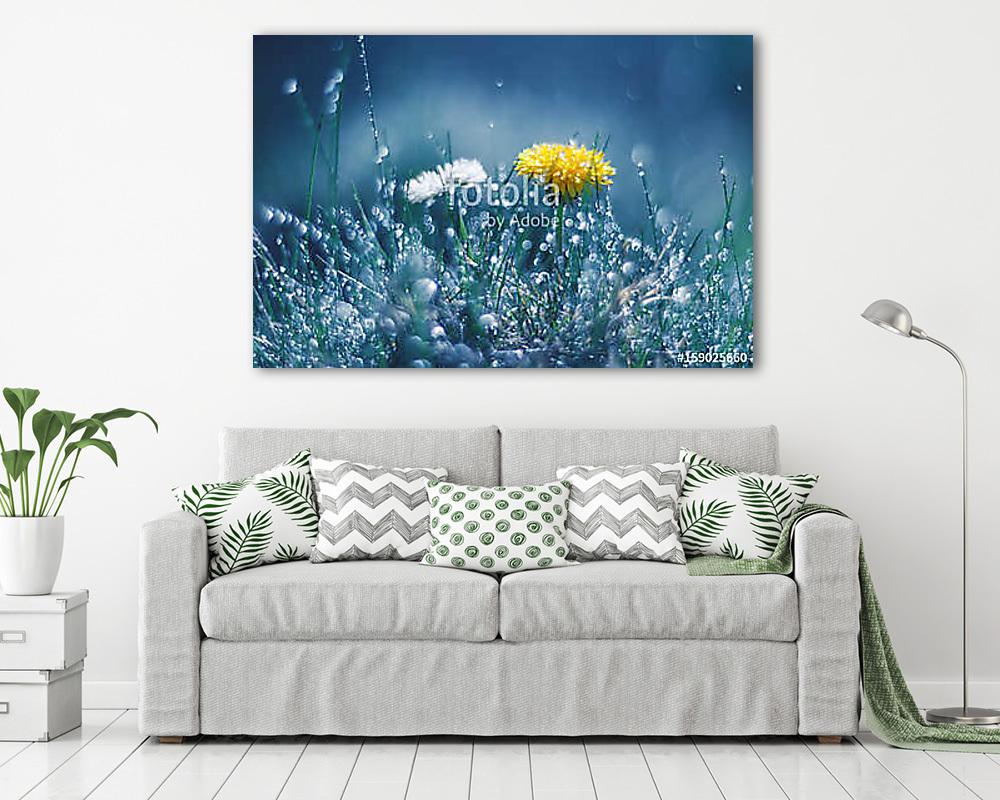 Dandelion and Daisy in the rain against a blue background. Beaut - vászonkép, falikép vásárlás Dandelion and Daisy in the rain against a blue background. Beaut (fotótapéta) - vászonkép, falikép otthonra és irodába
