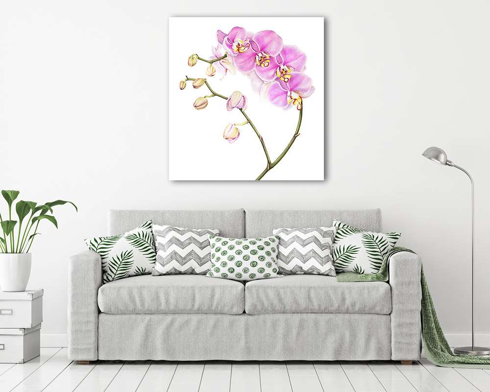 Pink watercolor phalaenopsis orchid isolated on white background (keretezett kép) - vászonkép, falikép otthonra és irodába