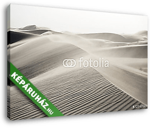Dunes Taton, Catamarca, Argentína - vászonkép 3D látványterv