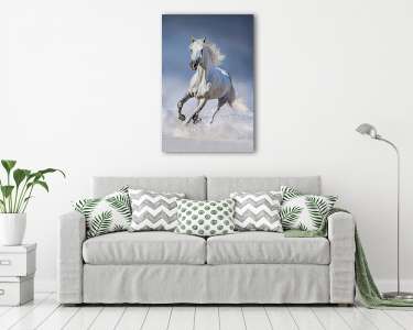 Ló a hóban (vászonkép) - vászonkép, falikép otthonra és irodába