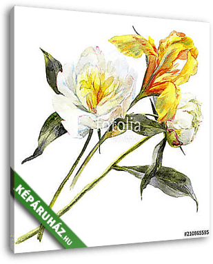 Isolated watercolor bouquet of peony and iris flower. - vászonkép 3D látványterv