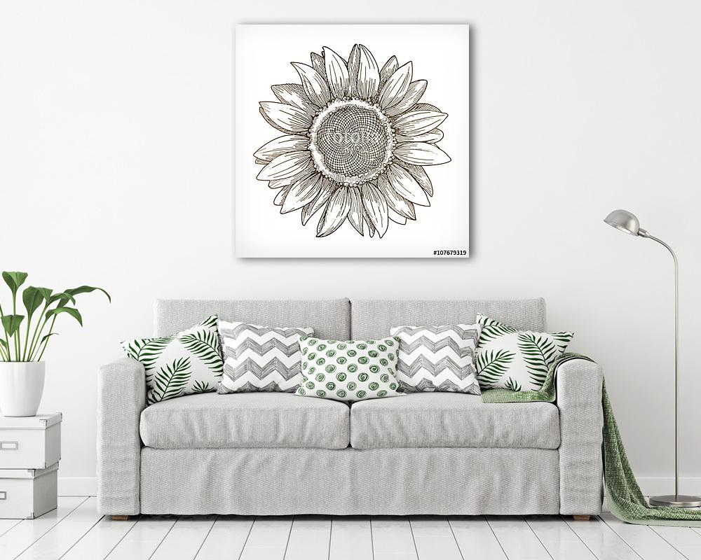 Napraforgó (rajz) (fotótapéta) - vászonkép, falikép otthonra és irodába