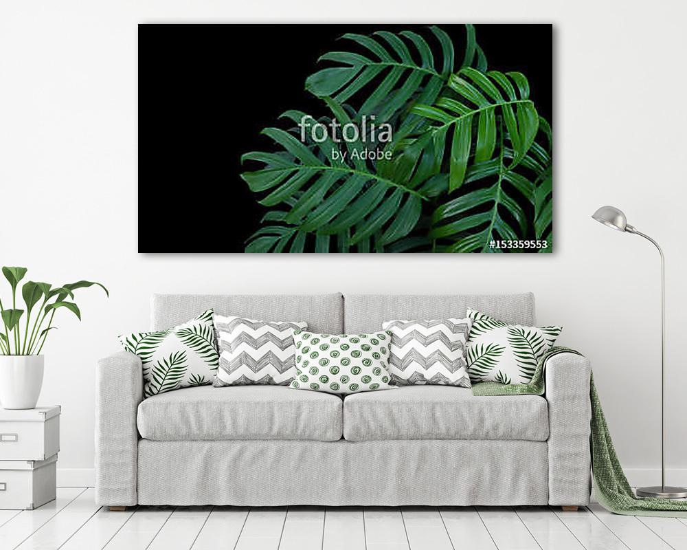 Könnyezőpálma (poszter) - vászonkép, falikép otthonra és irodába