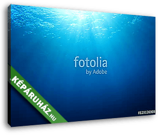 Underwater blue background in sea - vászonkép 3D látványterv