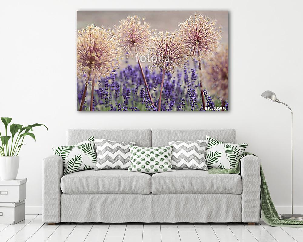 Hagymavirág, levendulával (fotótapéta) - vászonkép, falikép otthonra és irodába