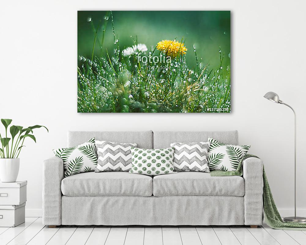 Dandelion and Daisy in the rain. Macro with beautiful bokeh. (keretezett kép) - vászonkép, falikép otthonra és irodába