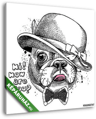 Image Portrait of French bulldog in a Elegant hat and tie. Vecto - vászonkép 3D látványterv