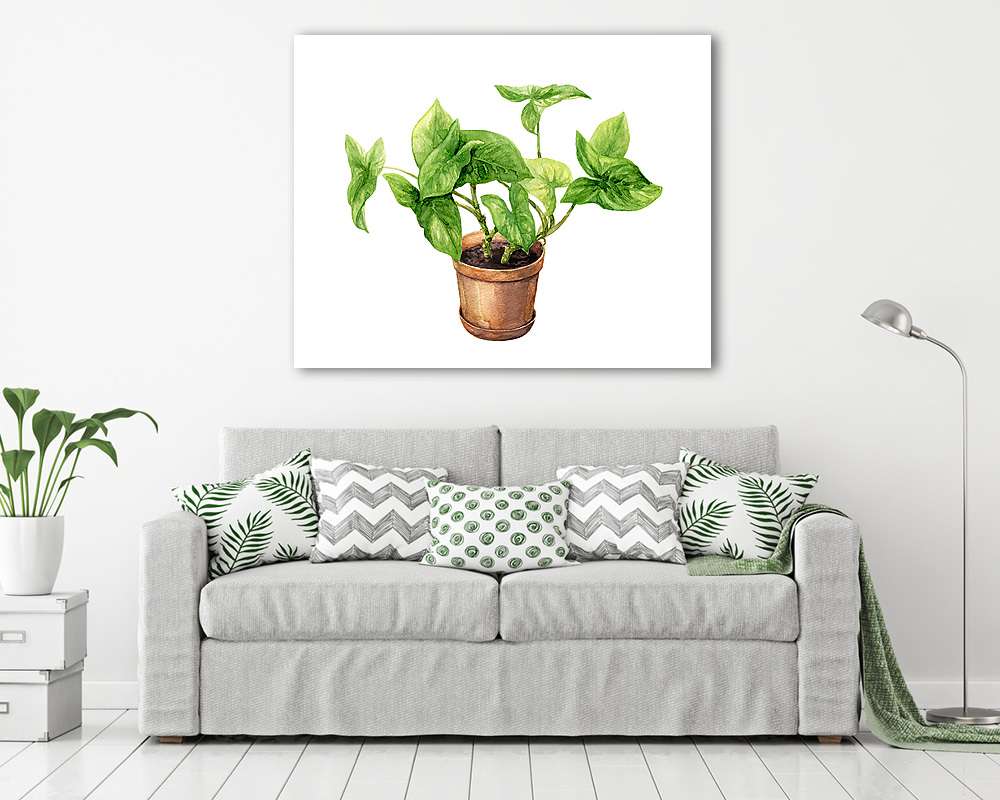 Liana in clay flowerpot. - vászonkép, falikép vásárlás Liana in clay flowerpot. (vászonkép) - vászonkép, falikép otthonra és irodába