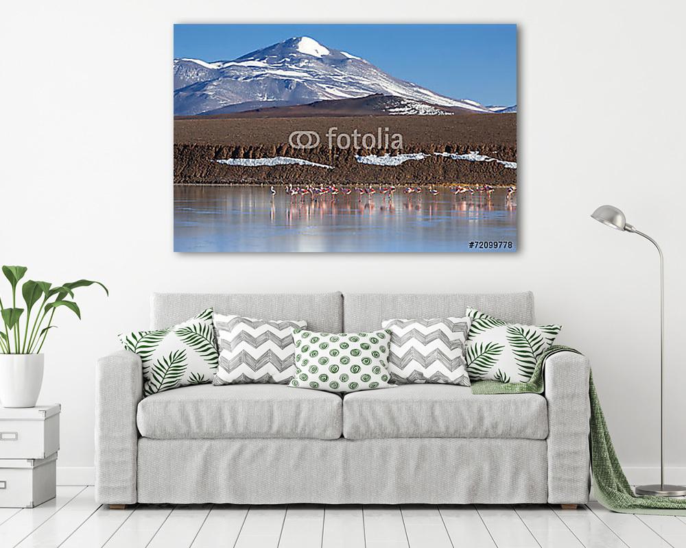 Lagoon Brava, La Rioja, Argentína (vászonkép) - vászonkép, falikép otthonra és irodába