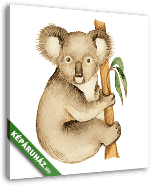 Koala - vászonkép 3D látványterv