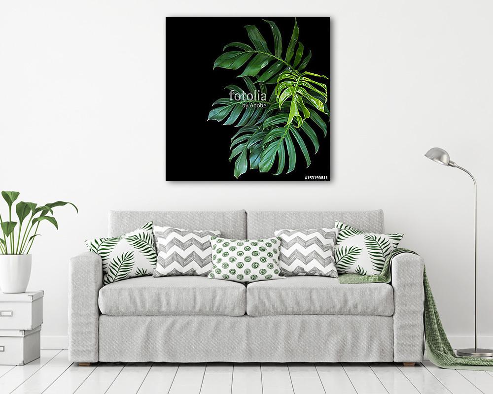 Könnyezőpálma levelei (fotótapéta) - vászonkép, falikép otthonra és irodába