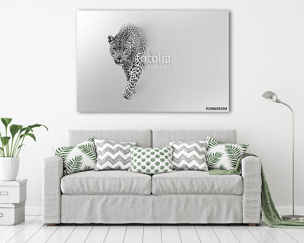 leopard walking out of the shadow into the light digital wildlife art white edition - vászonkép, falikép vásárlás leopard walking out of the shadow into the light digital wildlife art white edition (vászonkép) - vászonkép, falikép otthonra és irodába