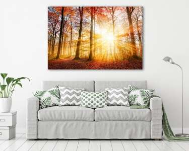 Gyönyörű őszi napfény az erdőben (vászonkép) - vászonkép, falikép otthonra és irodába