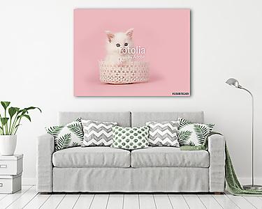 Aranyos fehér baba cica cica csipke kosárban rózsaszín b (vászonkép) - vászonkép, falikép otthonra és irodába