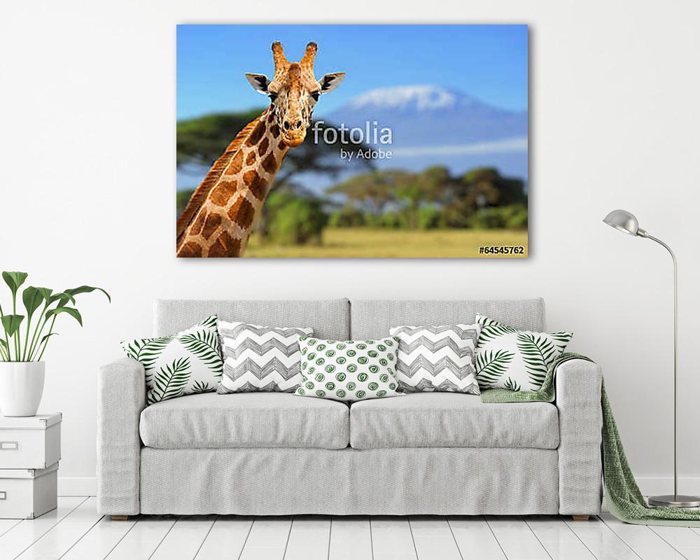 Zsiráf Kilimanjaro hegyén (vászonkép) - vászonkép, falikép otthonra és irodába