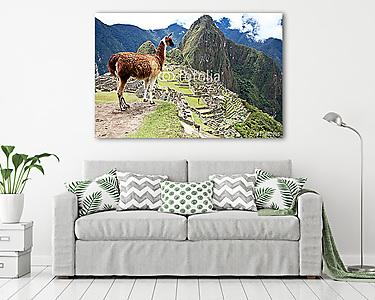 Az ősi Inka elvesztette városát Machu Picchu, Peru. (vászonkép) - vászonkép, falikép otthonra és irodába