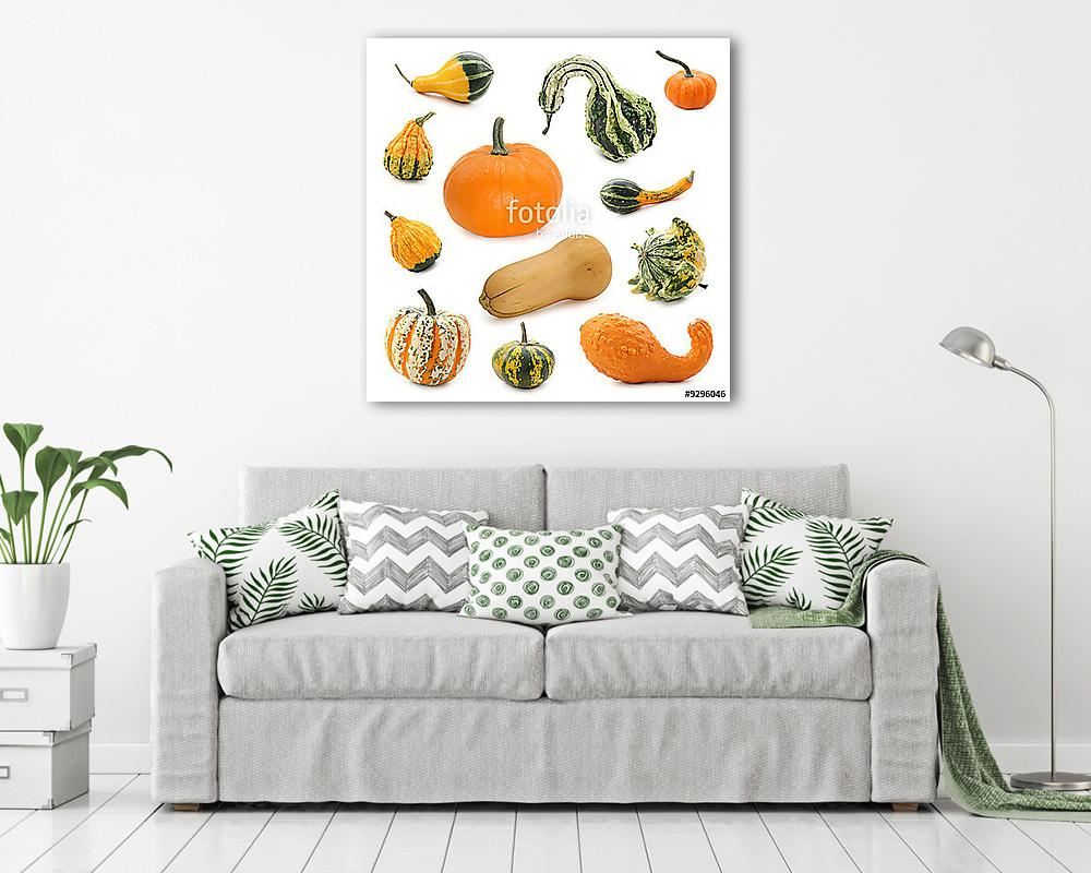 Tök gyűjtemény elszigetelt fehér háttér - vászonkép, falikép vásárlás Tök gyűjtemény elszigetelt fehér háttér (vászonkép) - vászonkép, falikép otthonra és irodába