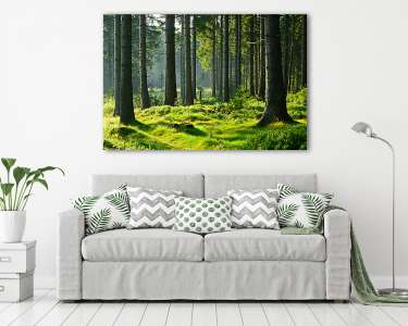 Érintetlen természetes erdei erdő a meleg reggeli fényben (vászonkép) - vászonkép, falikép otthonra és irodába