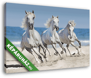 A lovak a part mentén futnak - vászonkép 3D látványterv