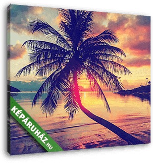 Magnificent beautiful bright tropical sunset, sun, palm tree, sa - vászonkép 3D látványterv