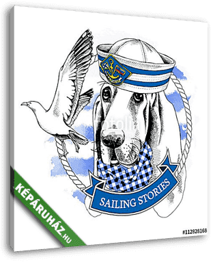 Dog Basset Hound portrait in a sailor's cap and with seagull. Ve - vászonkép 3D látványterv