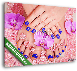 manicure and pedicure - vászonkép 3D látványterv