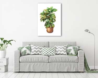 Croton in clay flowerpot. (vászonkép) - vászonkép, falikép otthonra és irodába