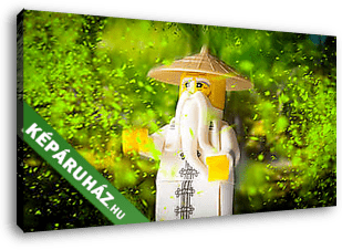 LEGO Characters - Ninja guru - vászonkép 3D látványterv
