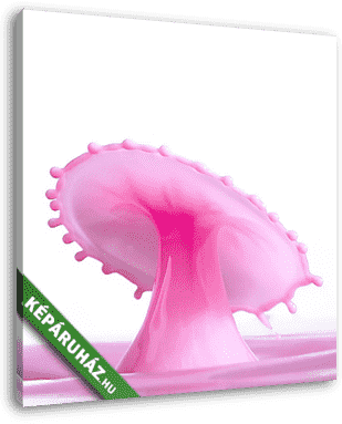 Csepp - Pink gomba 3 - vászonkép 3D látványterv