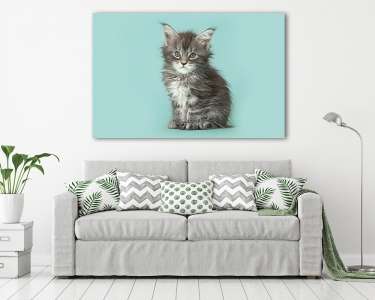 Aranyos füles baba macska, kék háttér (vászonkép) - vászonkép, falikép otthonra és irodába