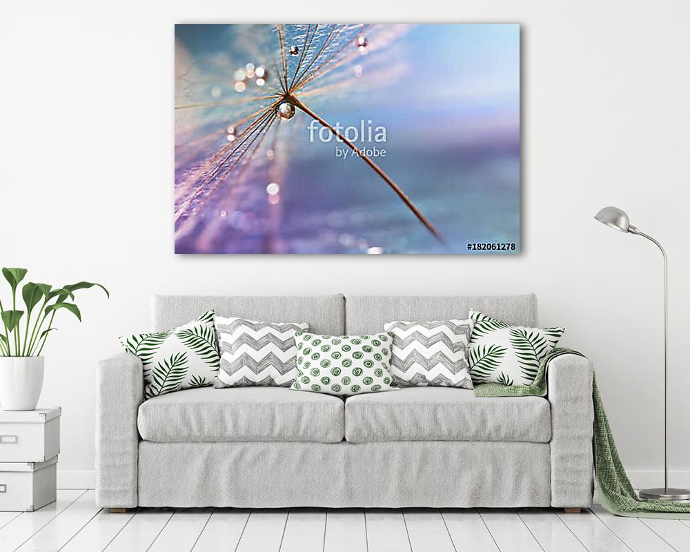 A drop of water. A beautiful macro dandelion with a drop of wate - vászonkép, falikép vásárlás A drop of water. A beautiful macro dandelion with a drop of wate (vászonkép) - vászonkép, falikép otthonra és irodába