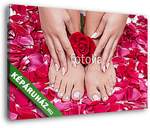 Beautiful woman's hands and legs with red rose petals - vászonkép 3D látványterv