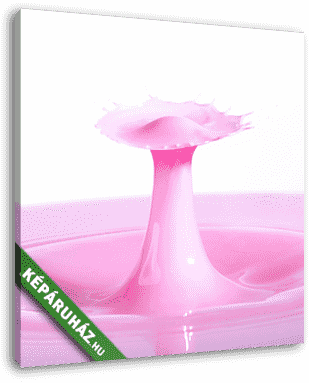 Csepp - Pink gomba 4 - vászonkép 3D látványterv