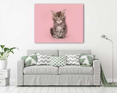 Aranyos fülbevaló baba cica macska ül egy rózsaszín háttér (vászonkép) - vászonkép, falikép otthonra és irodába