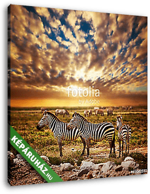 Zebrák állománya az afrikai savannal a naplementében. Safari a S - vászonkép 3D látványterv