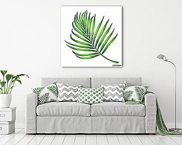 Watercolor painting coconut, palm leaf,green leaves isolated on  (vászonkép) - vászonkép, falikép otthonra és irodába