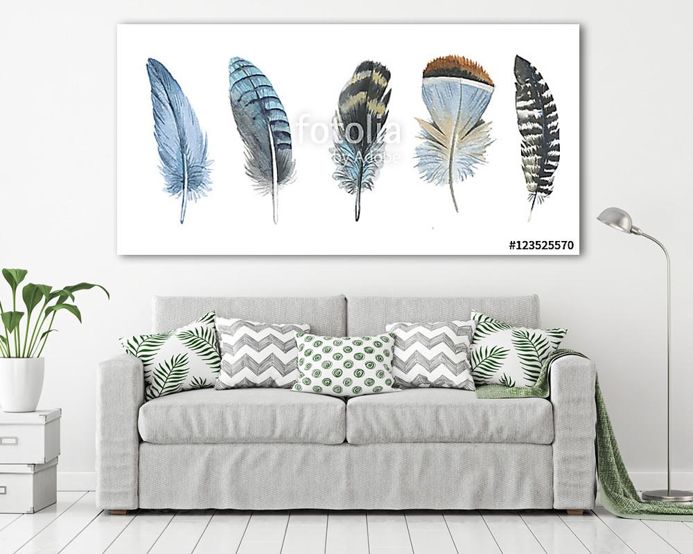 Watercolor bird feather from wing isolated. Aquarelle feather fo (fotótapéta) - vászonkép, falikép otthonra és irodába