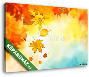őszi levelek háttér - vászonkép 3D látványterv