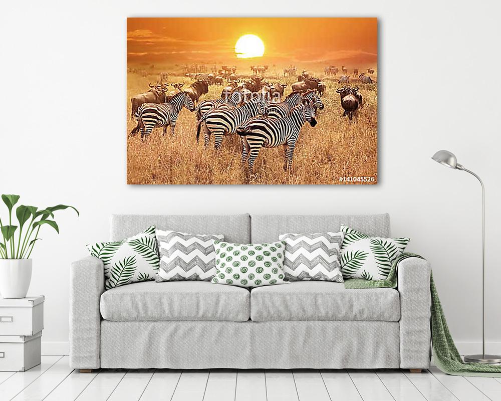 Zebra a naplementében a Serengeti Nemzeti Parkban. Afrika. Tanzá - vászonkép, falikép vásárlás Zebra a naplementében a Serengeti Nemzeti Parkban. Afrika. Tanzá (vászonkép) - vászonkép, falikép otthonra és irodába