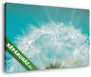 Macro of a dandelion with droplets on the delicate blue backgrou - vászonkép 3D látványterv