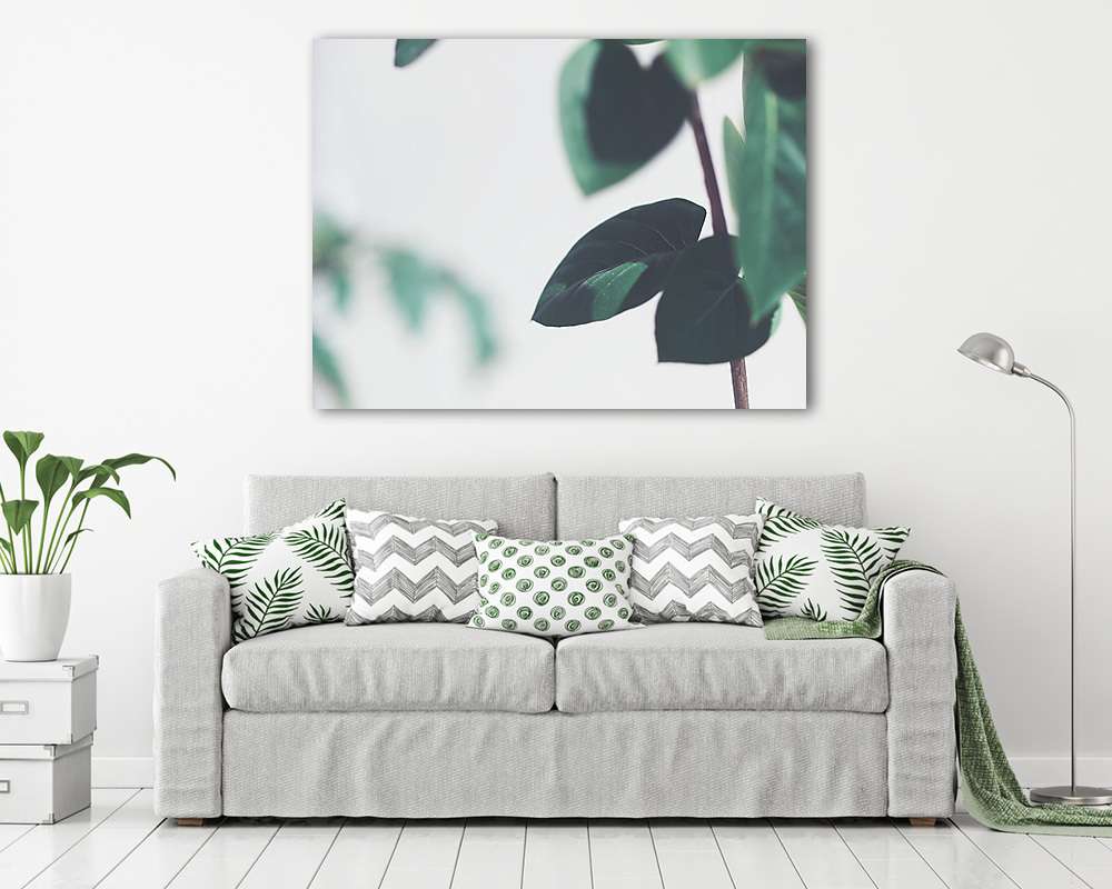 Trópusi növény közelről (bögre) - vászonkép, falikép otthonra és irodába