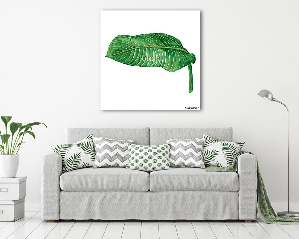 Watercolor painting green leaves,palm leaf isolated on white bac (vászonkép) - vászonkép, falikép otthonra és irodába