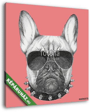 Hand drawn portrait of French Bulldog with collar and sunglasses - vászonkép 3D látványterv